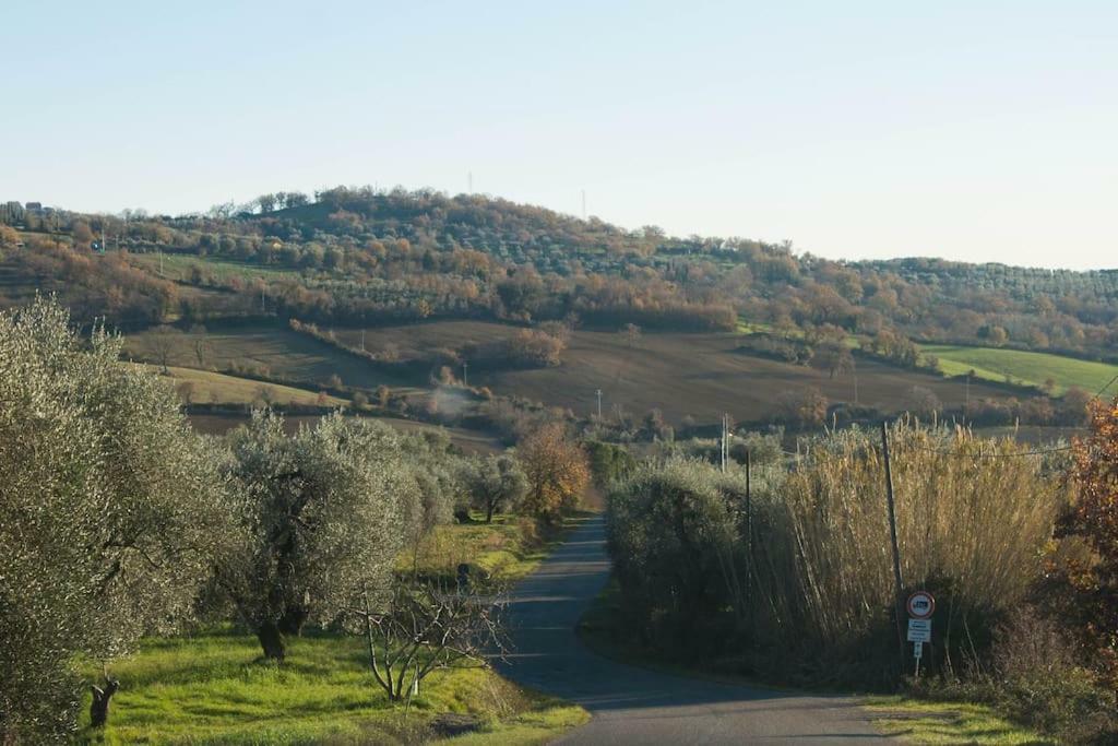 Le Casette Country House 2 Petricci Екстериор снимка